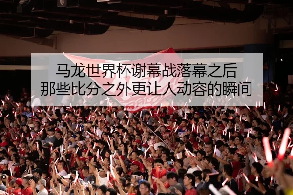 马龙世界杯谢幕战落幕之后 那些比分之外更让人动容的瞬间