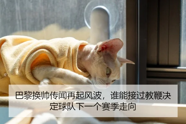 巴黎换帅传闻再起风波，谁能接过教鞭决定球队下一个赛季走向